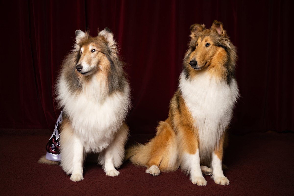 reveille picture